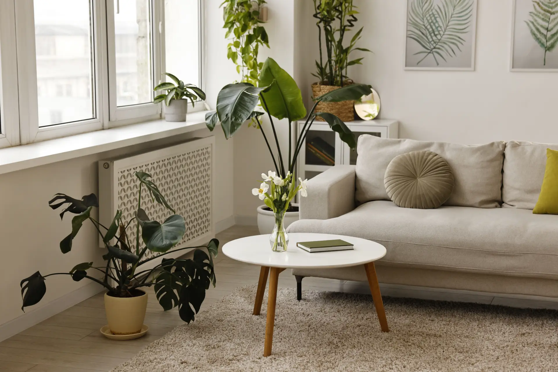 Feng Shui